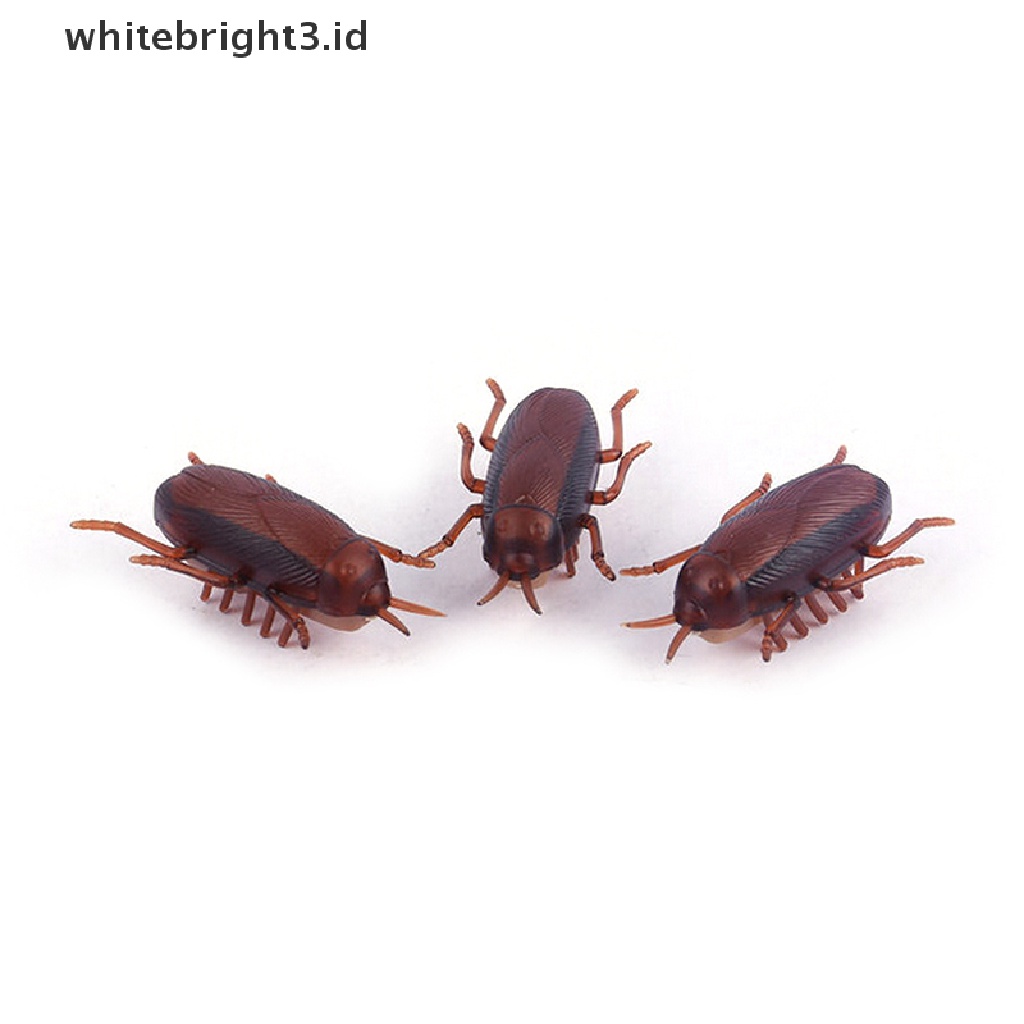 (whitebright3.id) Mainan Interaktif Kecoa Elektronik Tenaga Baterai Untuk Kucing