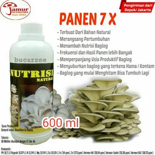 Panen 7 Kali Nutrisi Growbox Nutrisi Jamur Nutrisi Natural 600 Ml Shopee Indonesia