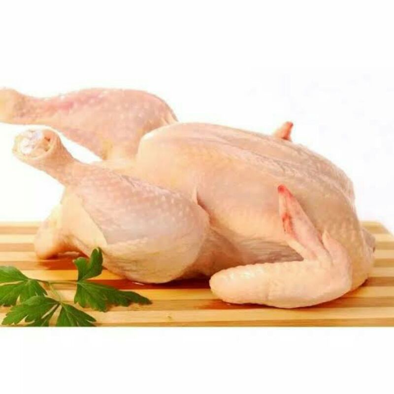 

daging ayam masih segar per 1 kg
