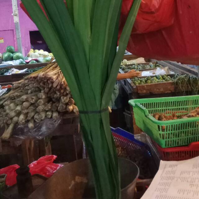

Daun Pandan