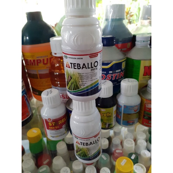 insektisida wereng teballo