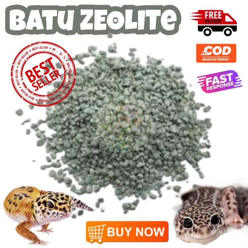[500 GR] Zeolit Zeolite alas kandang gecko tokek kadal reptil penyerap bau kotoran reptile batu pasi