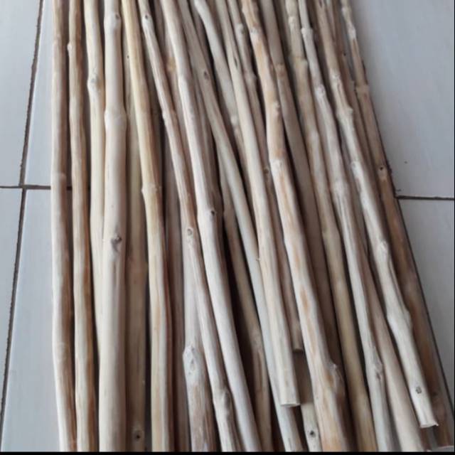 Tangkringan burung tangkringan kayu tangkringan kayu kopi