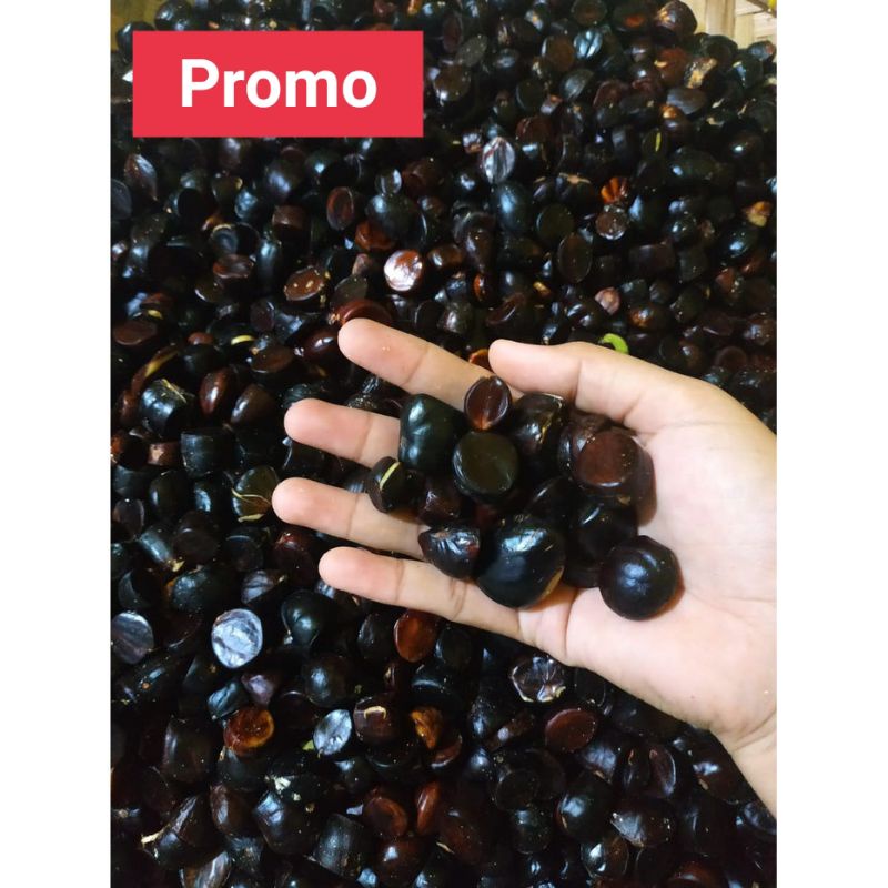 

promo 1 kg kabau jolang jaling palembang