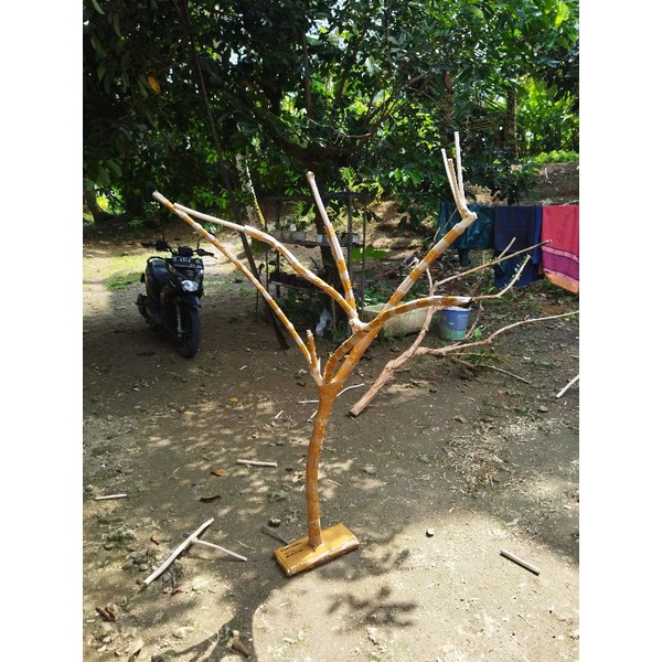 Kayu kopi/tangkringan kayu kopi cabang/burung/SG panjang 1,5m