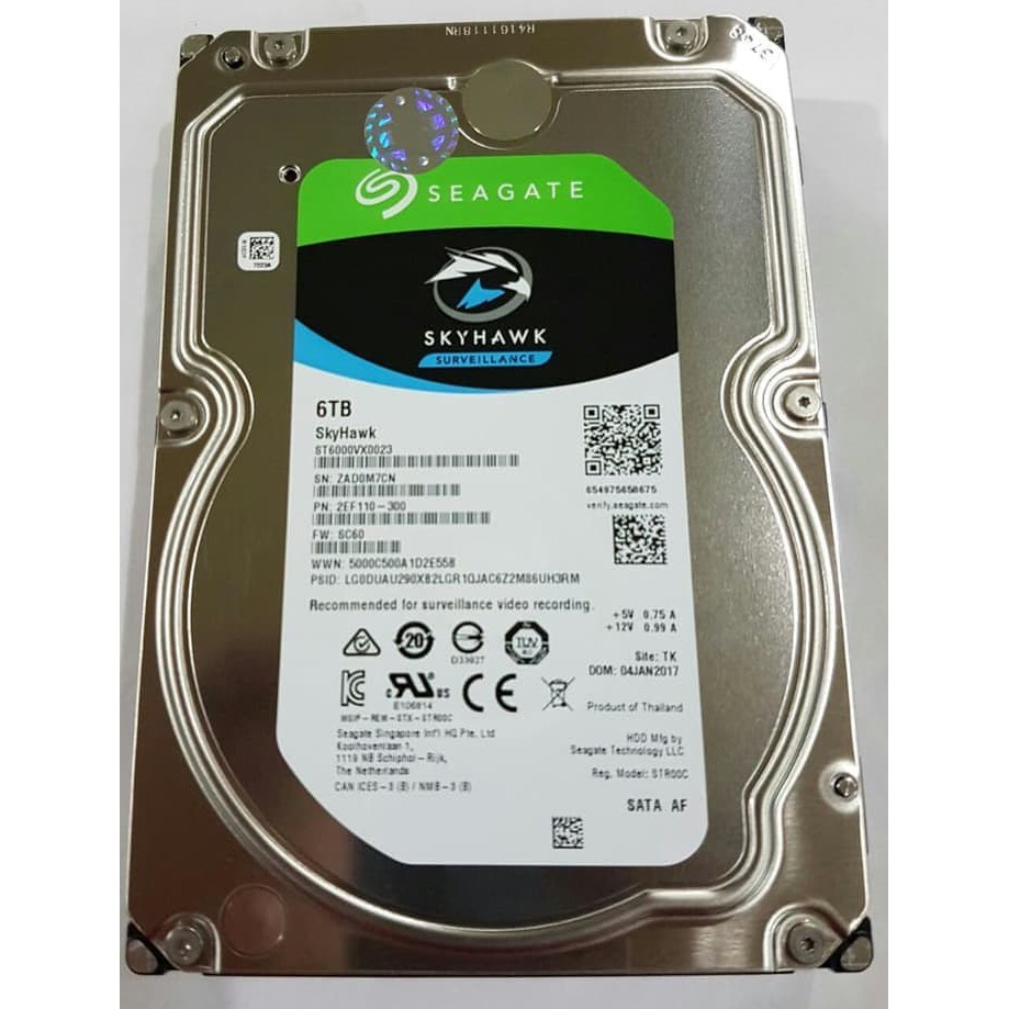 HARDISK HDD CCTV Seagate Skyhawk Surveillance 6TB MFI