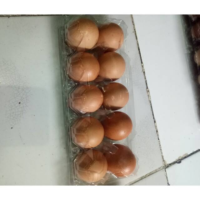 

Telor kemasan isi 10