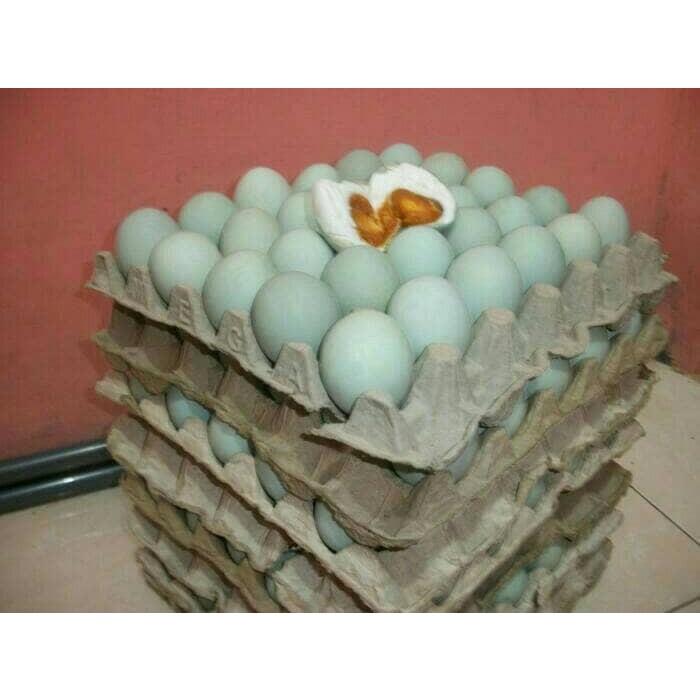

Telor asin lemak nian asli
