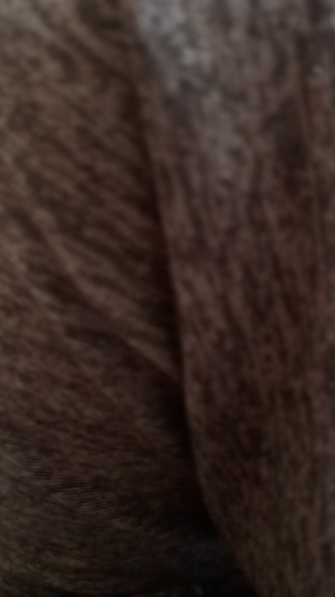 Sabun Cuci Piring 600ml Super Premium Murah Kental Aroma Jeruknipis