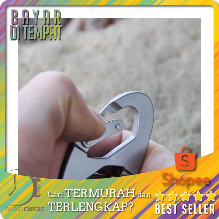 TERLARIS Carabiner Mountaineering 8 Shaped - L301218