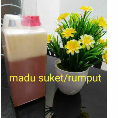 

madu suket / rumput asli 1kg