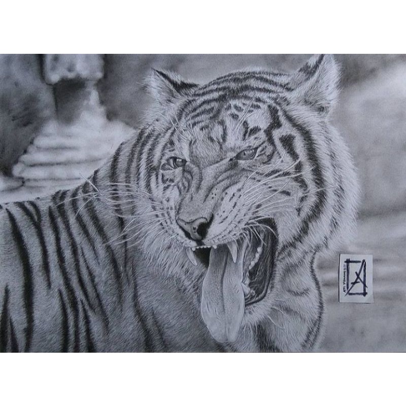 

Lukisan harimau 12R