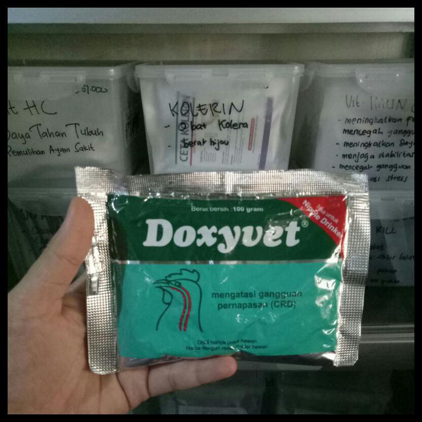 OBAT AYAM DOXYVET 100GR OBAT NGOROK CRD AYAM