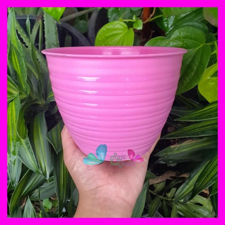 Pot Tawon MDN 15 Cm Putih Gold Emas Pink Hijau Ungu Orange Kuning Biru Pot Tawon 15 18 21