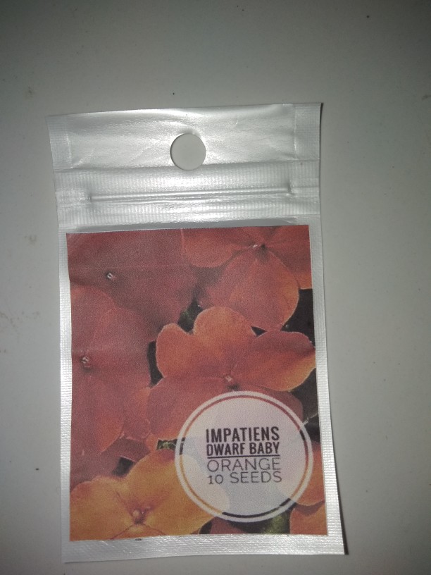 Impatiens Dwarf Baby Orange 10 Biji (benih Biji Bibit Tanaman Bunga)
