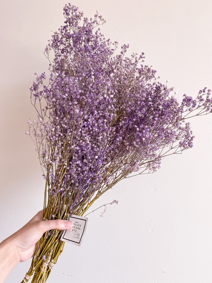 Dried Babybreath in Purple/ bunga baby breath kering ungu