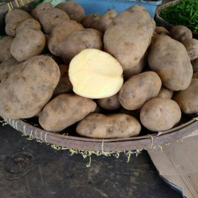 Kentang dieng jumbo 1kg