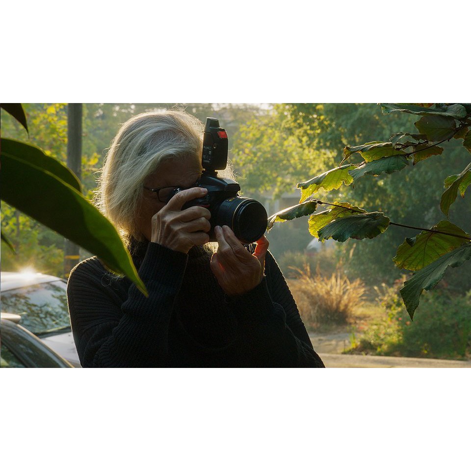 MasterClass Annie Leibovitz - Photography VIDEO LIMITED EDITION