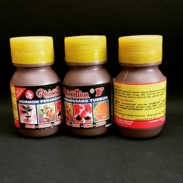 Hormon perangsang tumbuh / perangsang akar ampuhh