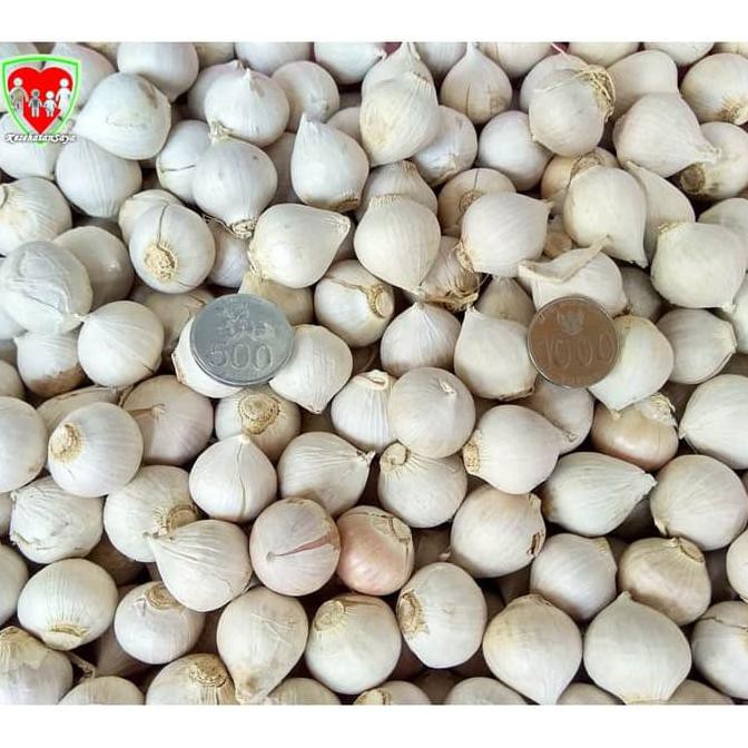 READY COD Bawang Putih Tunggal / Lanang 1 Kg Super Besar Import EKSLUSIF Kode 128