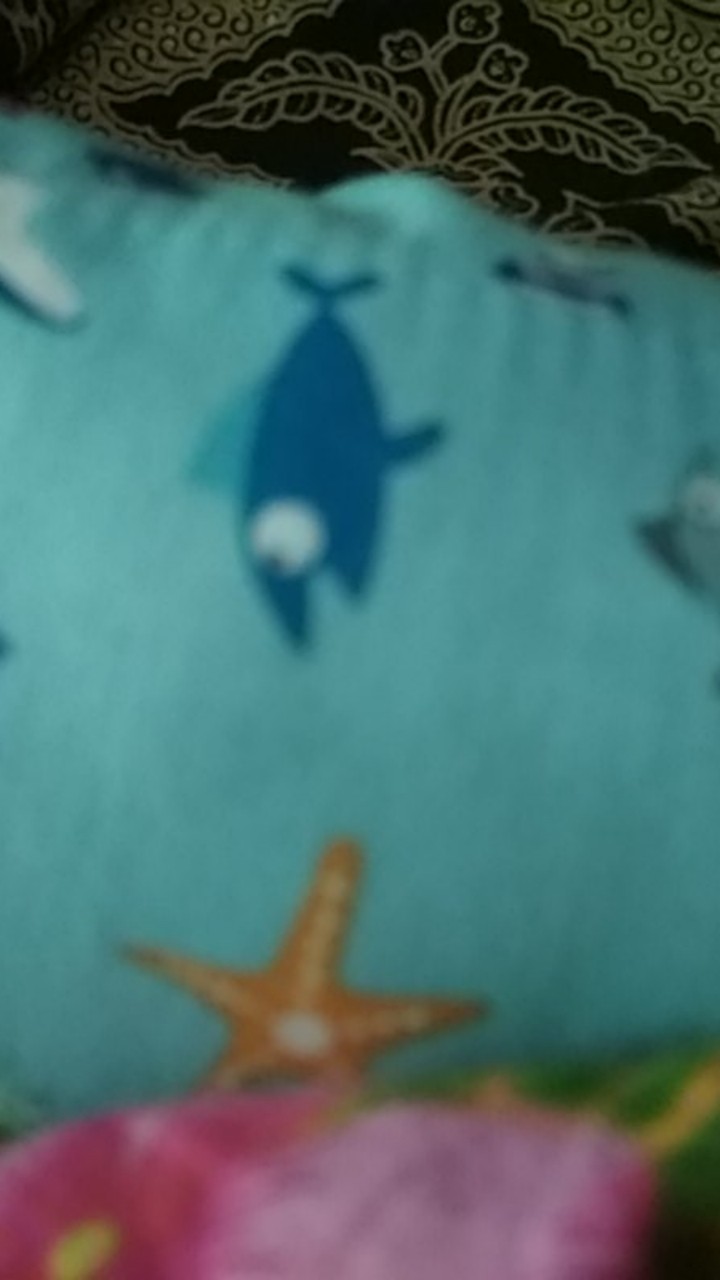 Toples Selay- Toples Tutup- Toples Kaca- Toples