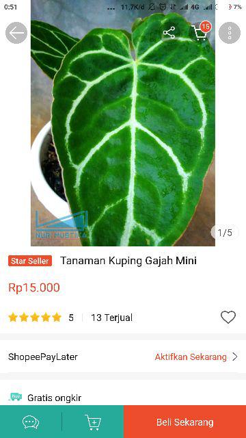 Pupuk Kompos Kotoran Kambing