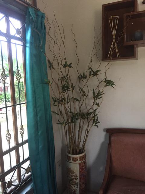  Bambu  Ulir  Bambu  Inul Hiasan  Daun Bambu  Shopee Indonesia