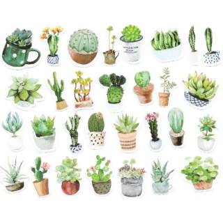 Sticker Stiker Cactus 1 Kaktus Sukulen Plant for Scrapbook DIY | Shopee