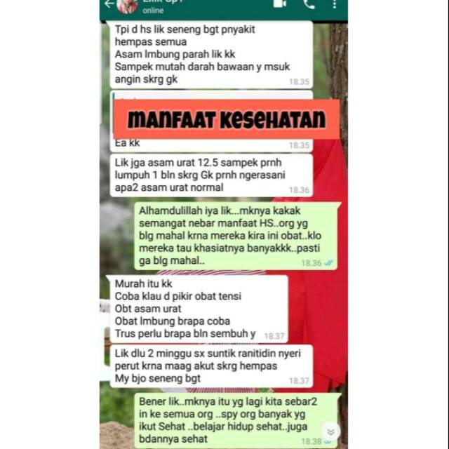 Pelangsing Badan Herbal Alami HS Slim