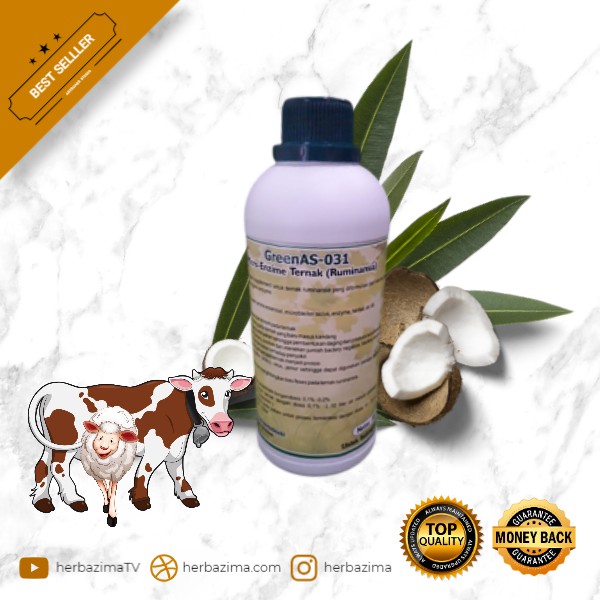 

Green As 031 (Kambing, sapi, dll)