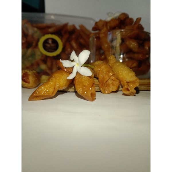 

KUKER kacang sembunyi "tigaputri