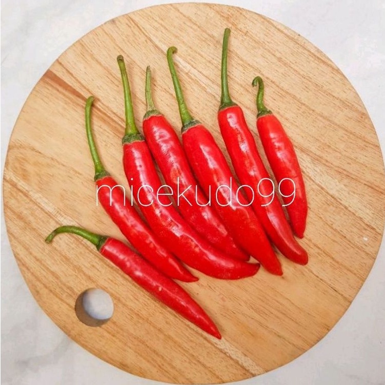 

CABE MERAH BESAR SEGAR 250GR / FRESH RED BIG CHILLI CABAI