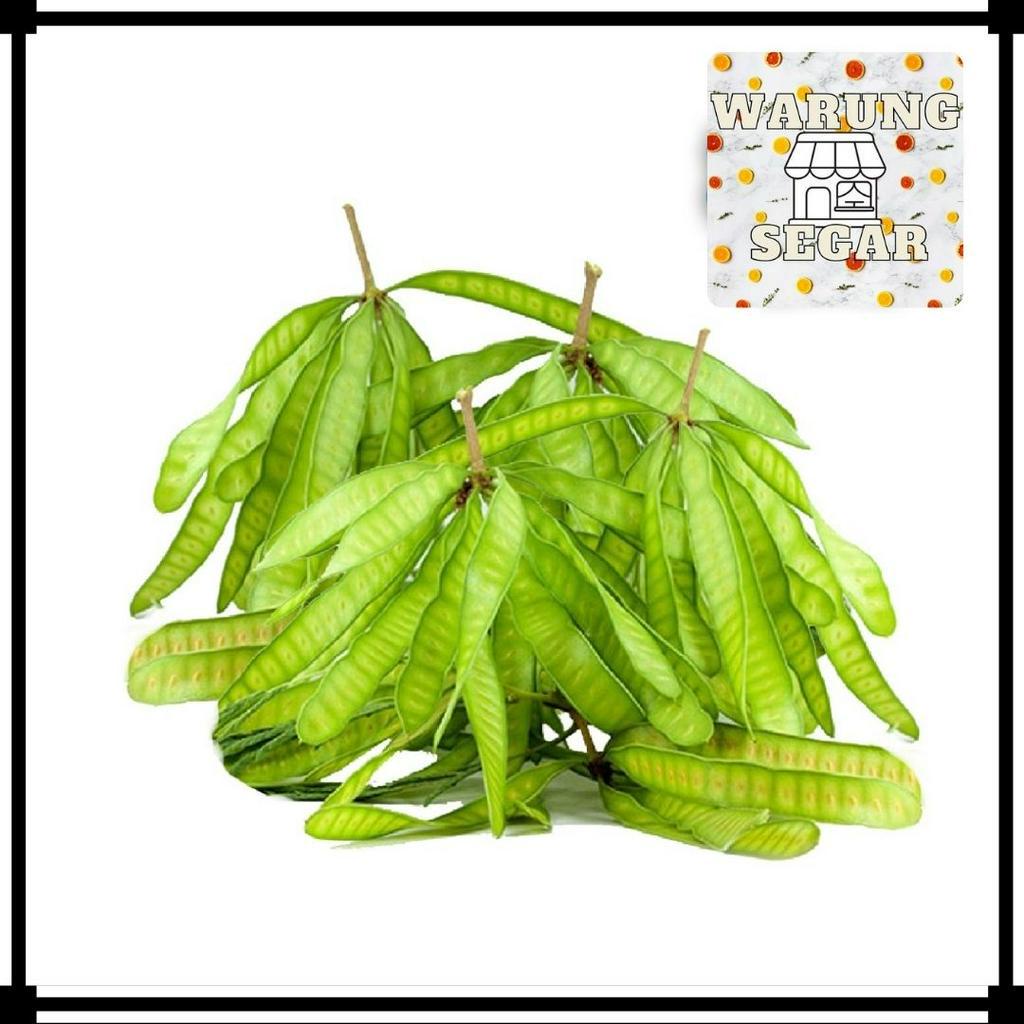 

Pete Cina - Per Pack WarungSeger