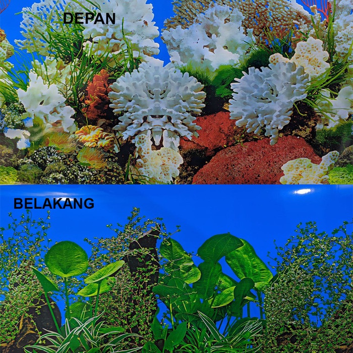 Background Aquarium 40Cm / Gambar Belakang Aquarium Tinggi 40Cm