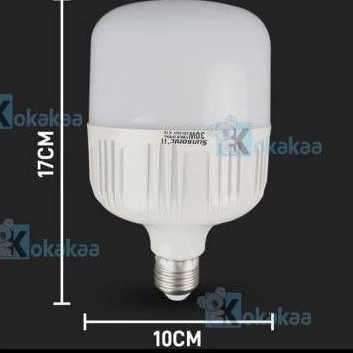 Bohlam LED 30W Jumbo PANALED