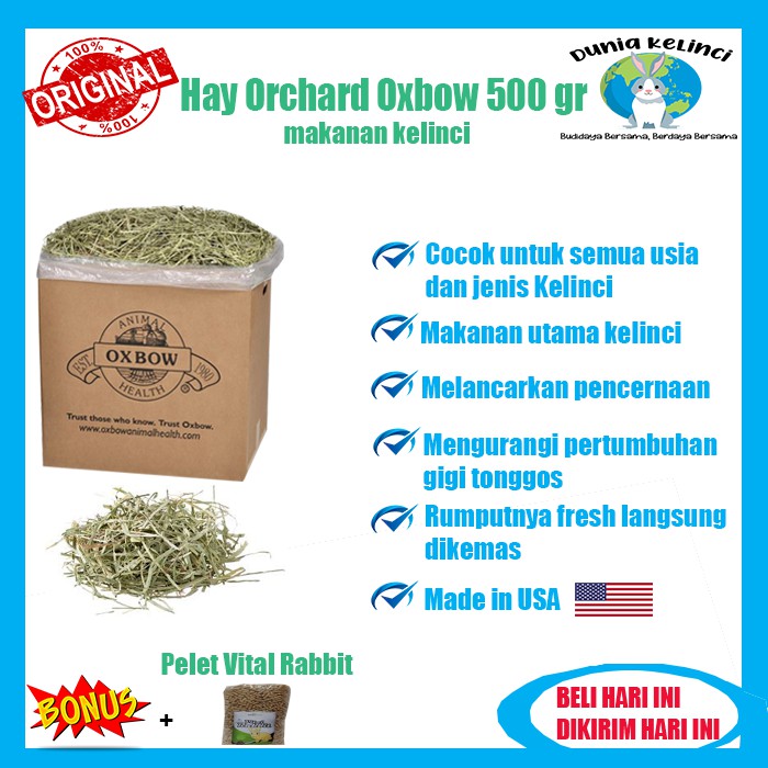 MAKANAN KELINCI HAY ORCHARD OXBOW 500 GR GUINEA PIG MARMUT CHINCHILLA HAMSTER RUMPUT KERING JERAMI