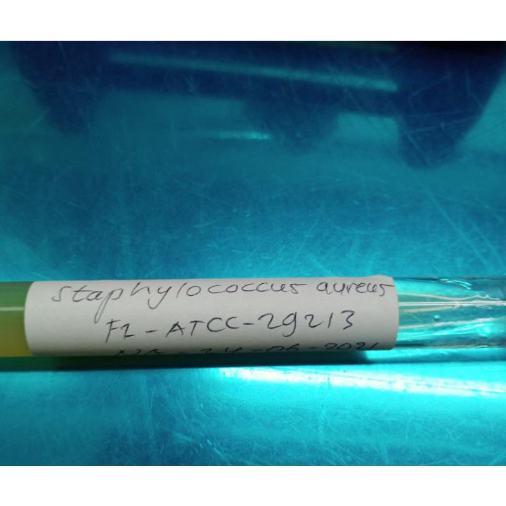 

Staphylococcus aureus - f2 ATCC 39213
