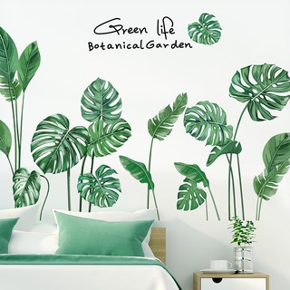 Wallpaper Stiker Dinding Daun Monstera Gaya Natural Hijau
