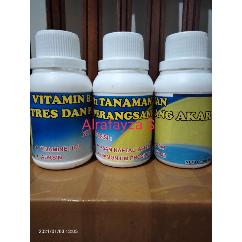 vitamin b1 anti stress dan perangsang akar