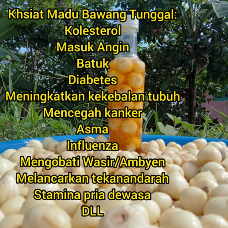 

madu mix bawang tunggal/Lanang