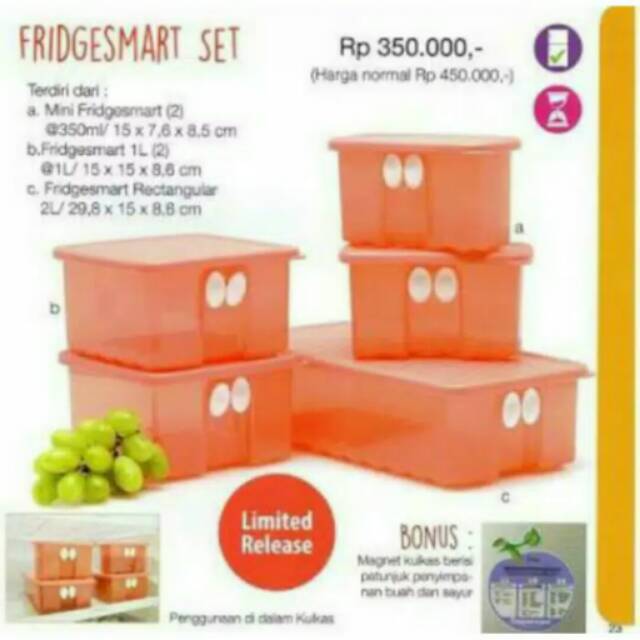 Fridgesmart set