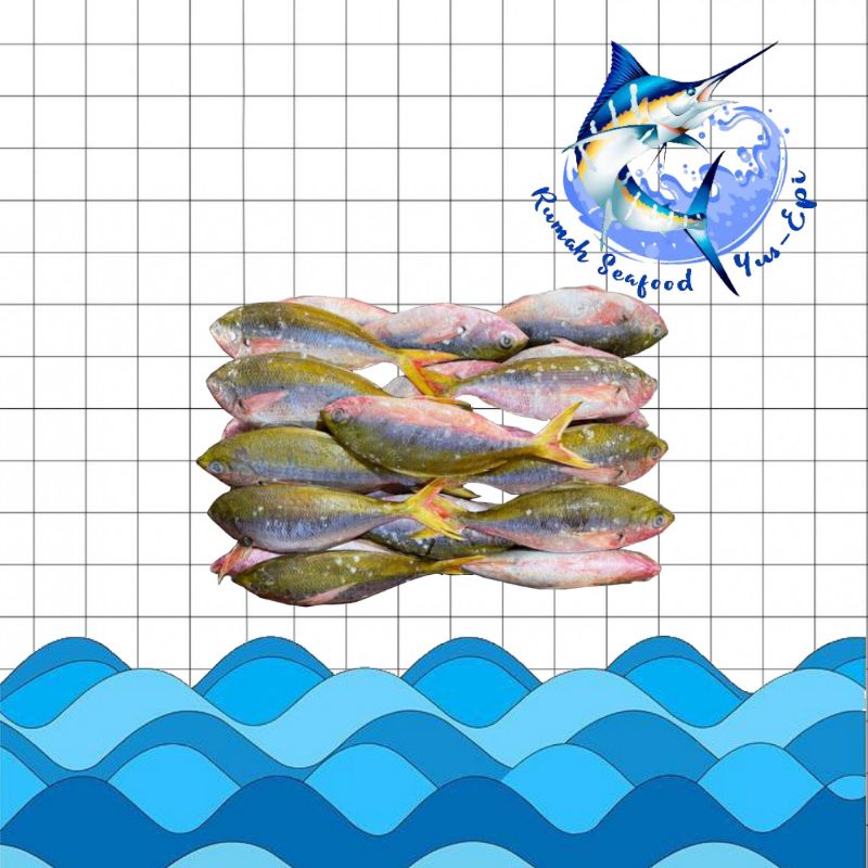 

Ikan Warna Warni - rumahseafoodyusepi