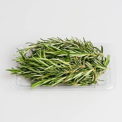 Rosemary Organik 50gr