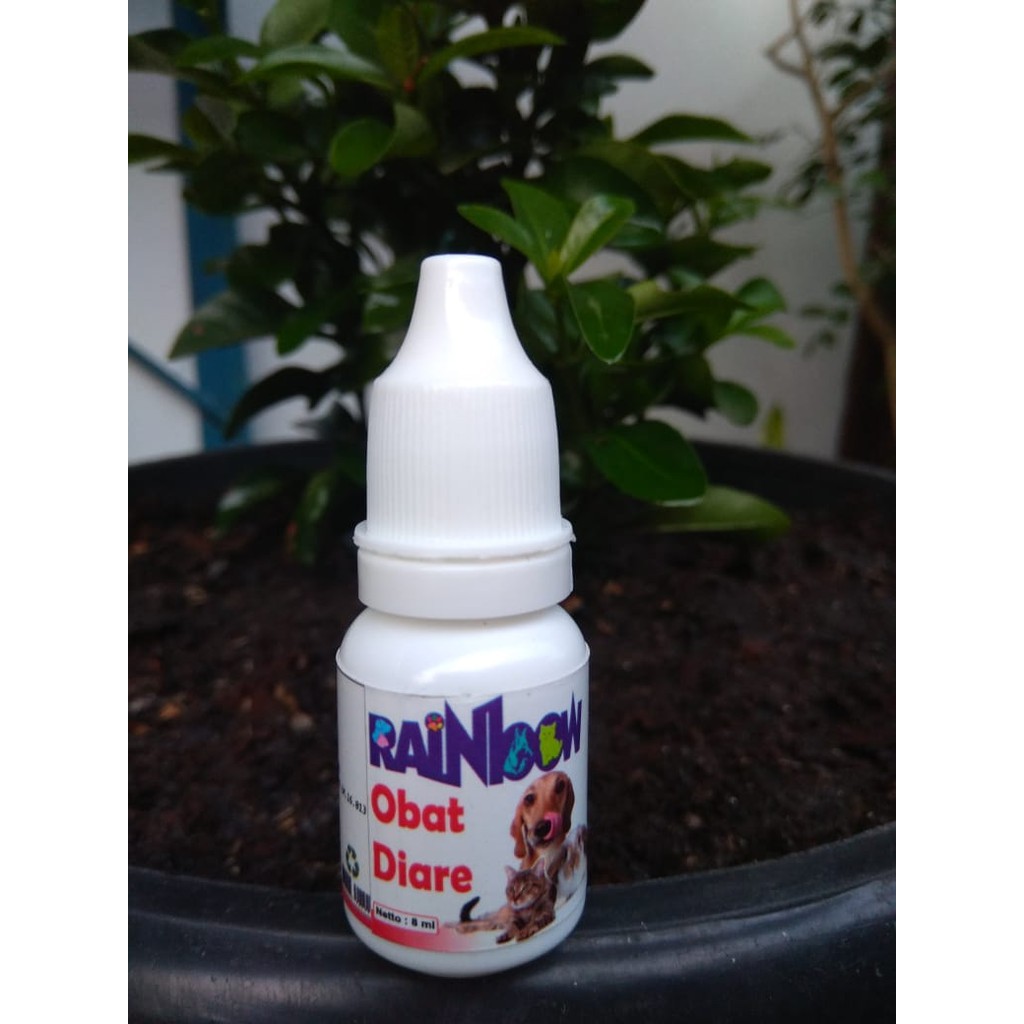 Obat Diare untuk Kucing, anjing, Kelinci - Rainbow