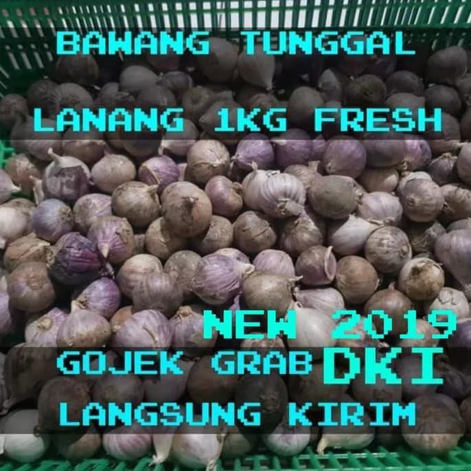 

Bawang Putih Tunggal / Bawang Lanang 1000 gram