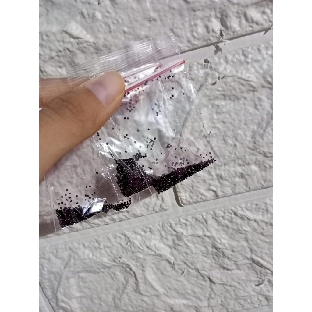 Benih biji bayam potong lokal daun lebar - 200+ biji