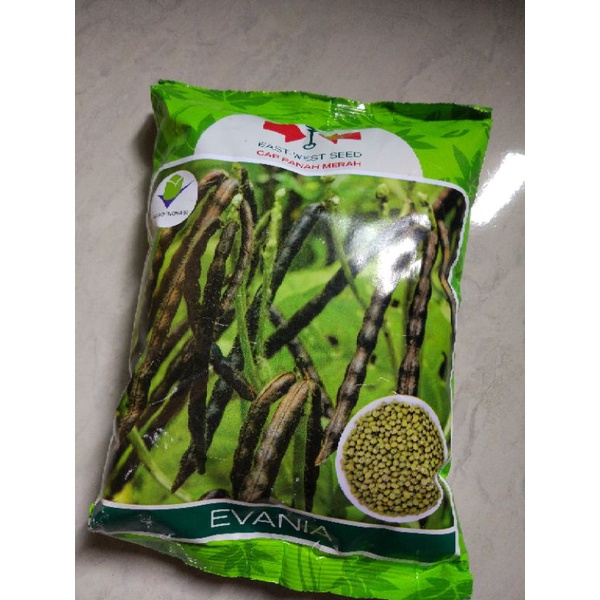 Benih kacang hijau 1kg cap panah merah evania bibit kacang hijau