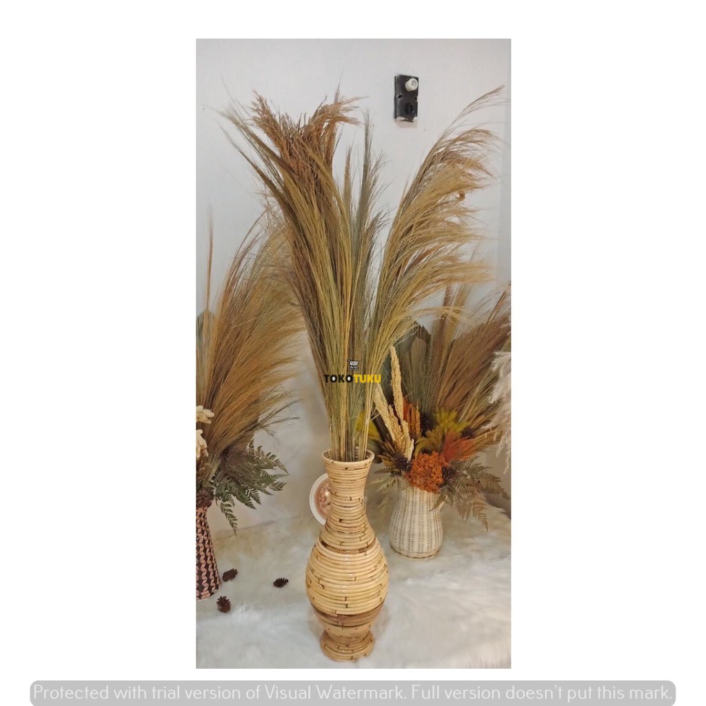 RAYUNG NATURAL LEAF - HIASAN RAYUNG - DAUN RAYUNG -RAYUNG HIASAN RUMAH