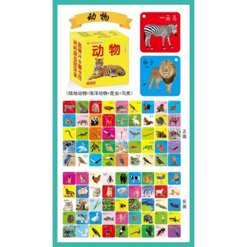 english chinese flash card - learning flashcards