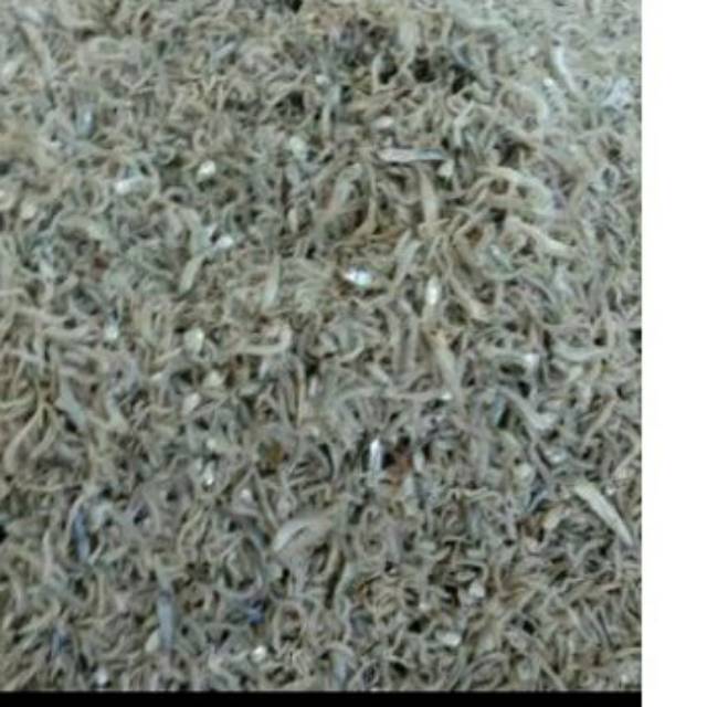 

Teri Jengki Rebus Besar 500gr